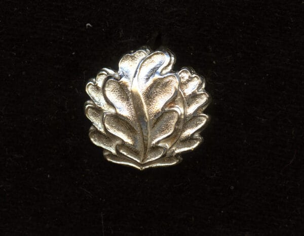 Original Cased 1957 Oak Leaves with Ribbon - German Knight's Cross - Image 2